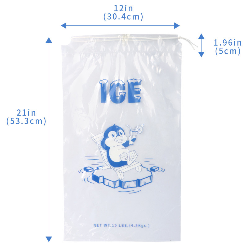 Recyclable Drawstring Ice Pack Bags